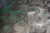 dsc_1075_fs_small.jpg