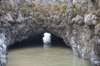 dsc_1088_fs_small.jpg