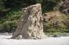 dsc_1108_fs_small.jpg