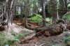 dsc_1110_fs_small.jpg