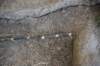 dsc_1111_fs_small.jpg