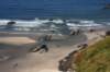 dsc_1113_fs_small.jpg