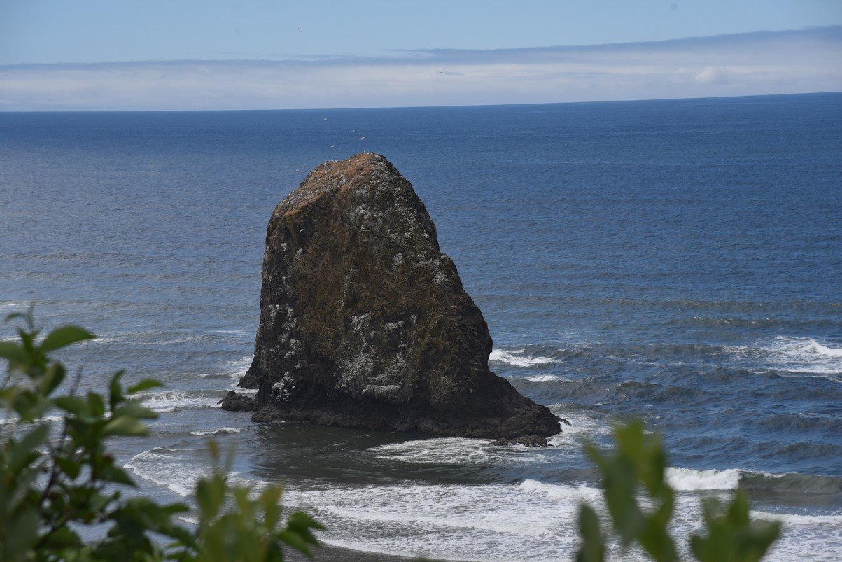 dsc_1120_fs.jpg