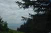 dsc_1138_fs_small.jpg