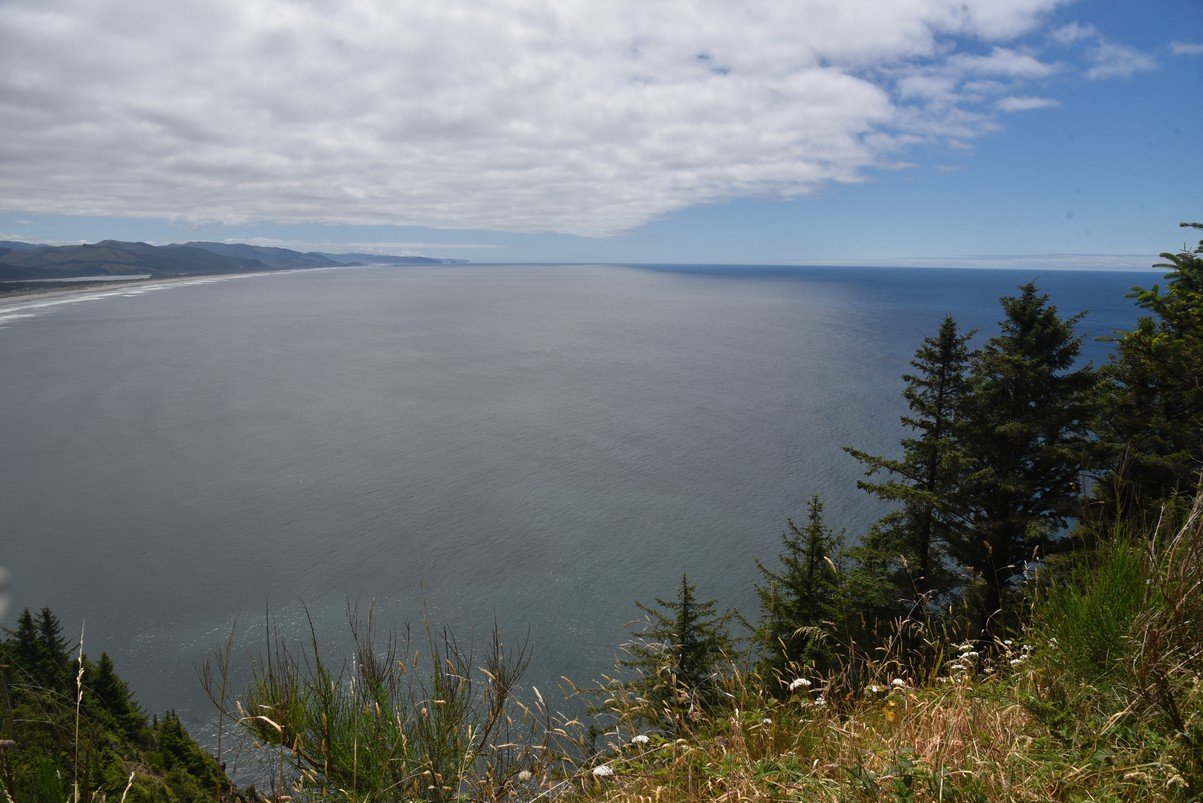 dsc_1140_fs.jpg