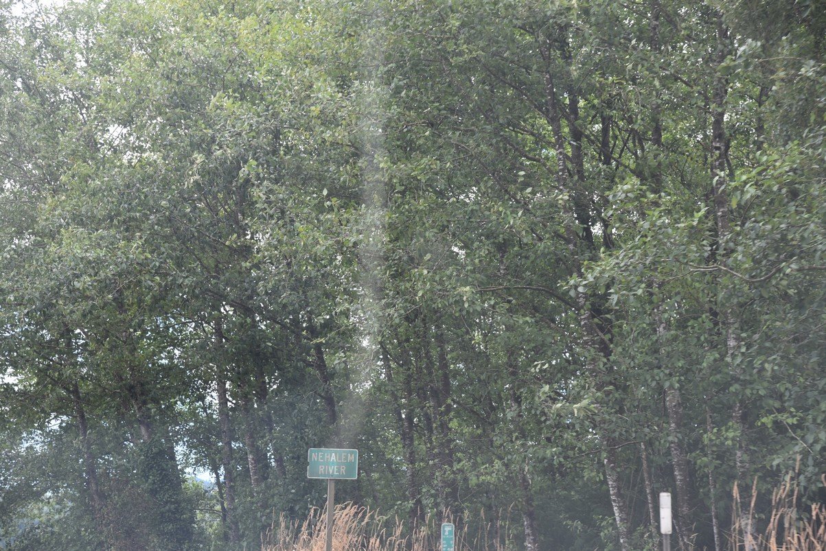 dsc_1164_fs.jpg
