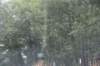 dsc_1164_fs_small.jpg