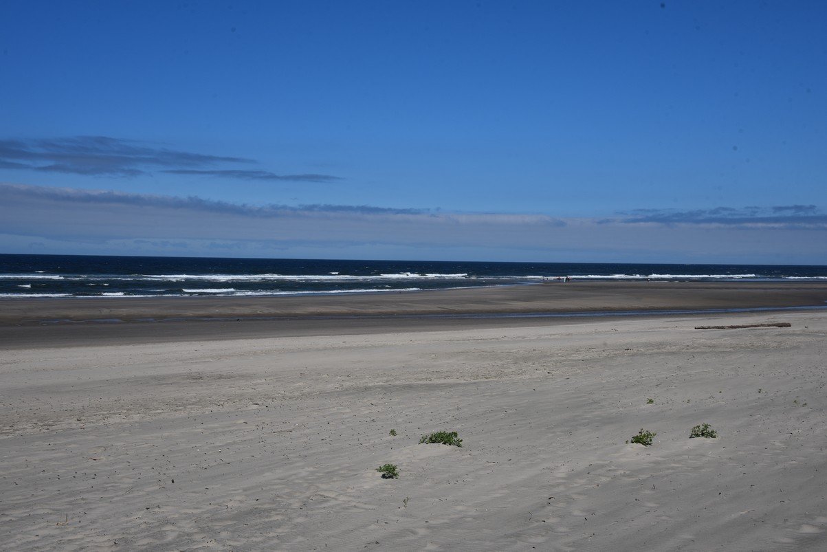 dsc_1208_fs.jpg