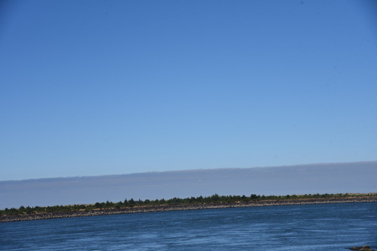 dsc_1293_fs.jpg