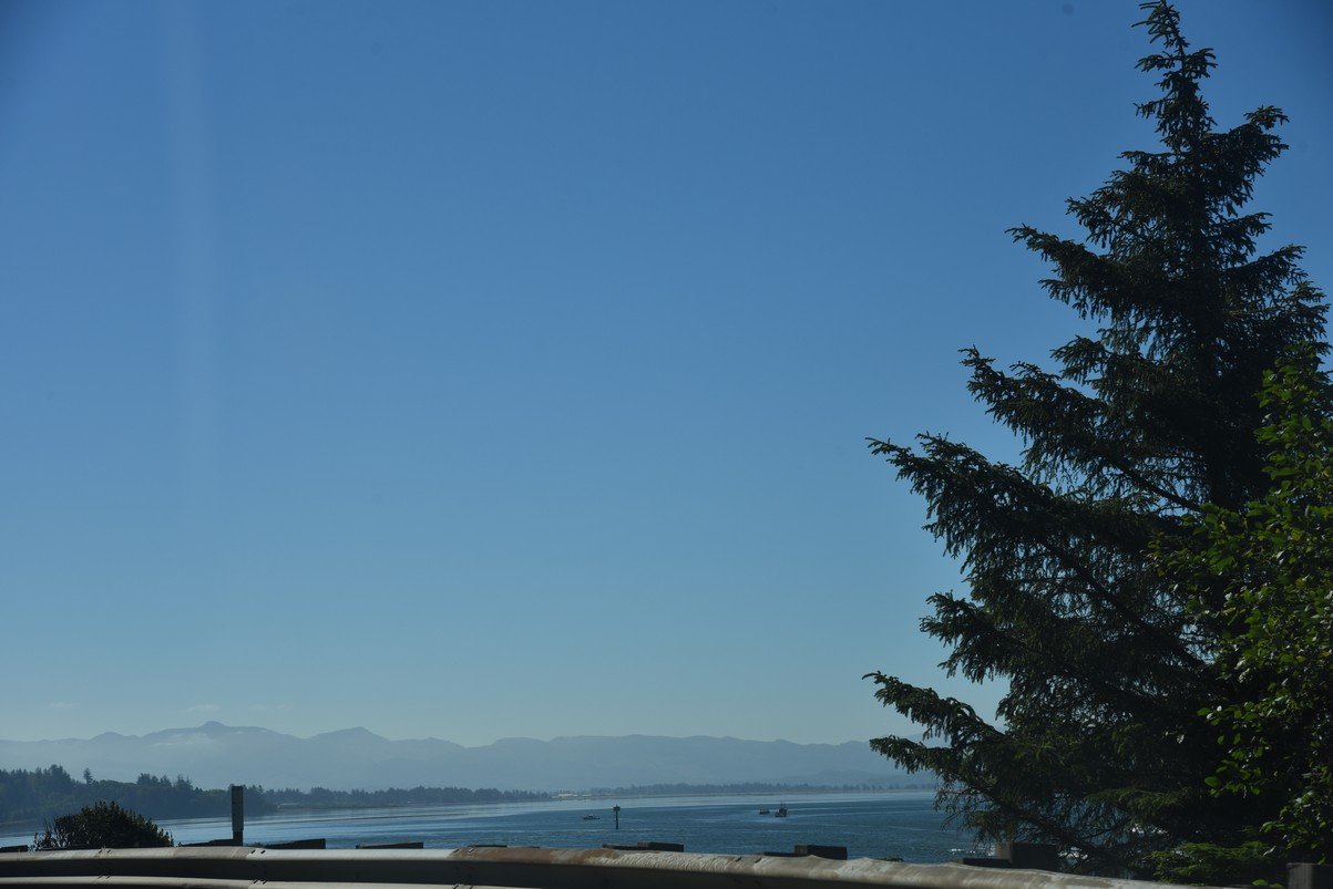 dsc_1294_fs.jpg