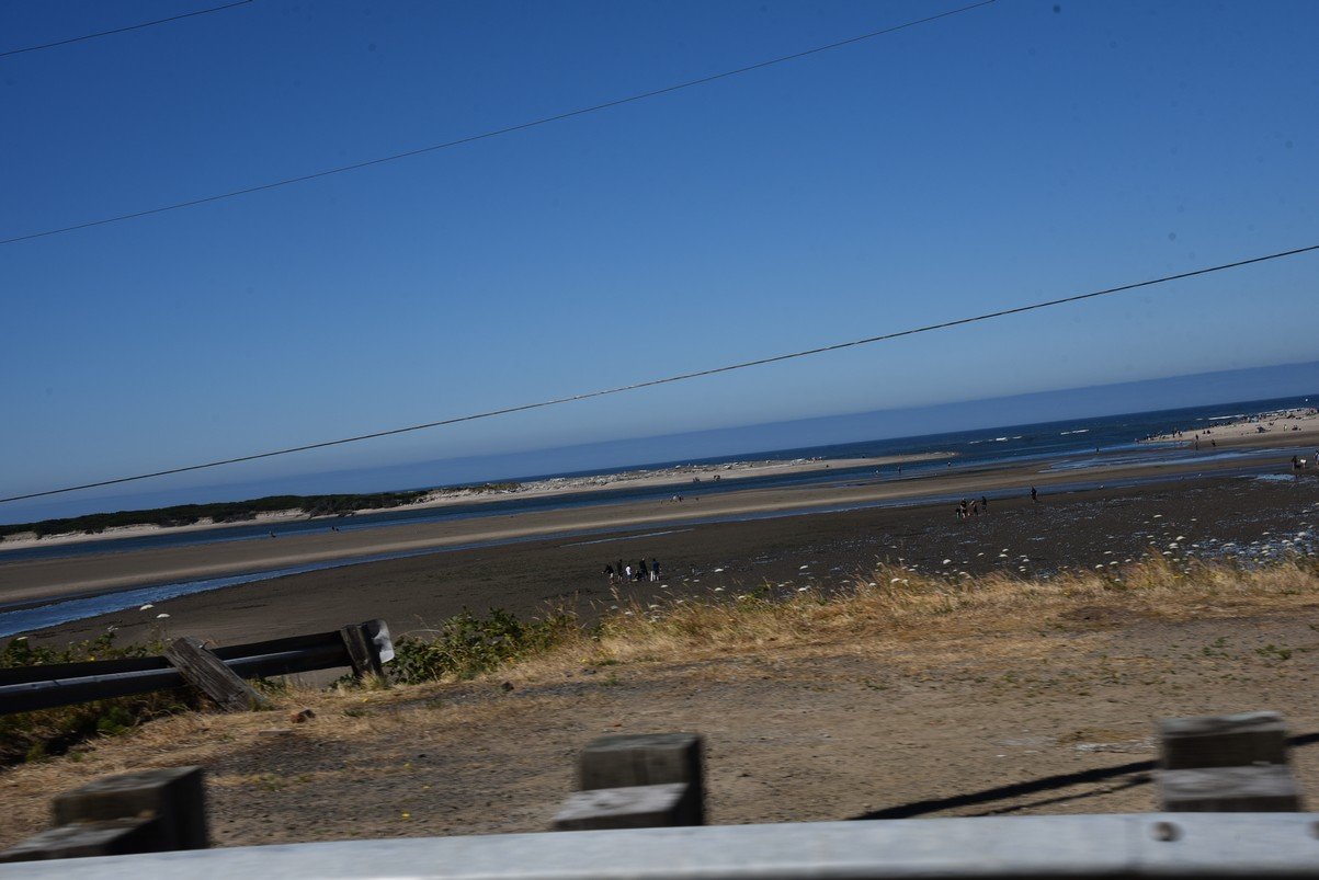 dsc_1393_fs.jpg