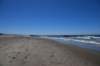 dsc_1405_fs_small.jpg