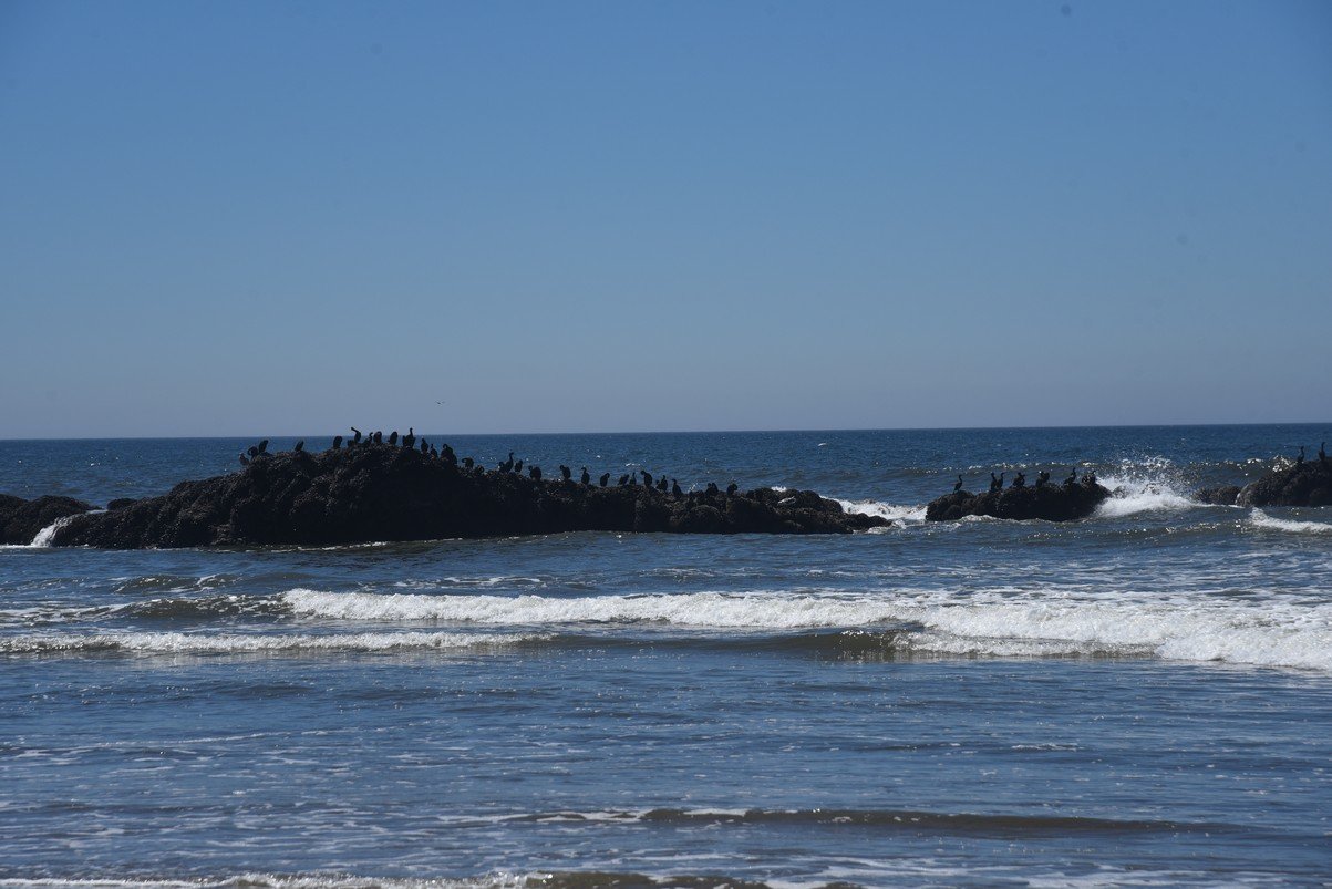dsc_1406_fs.jpg
