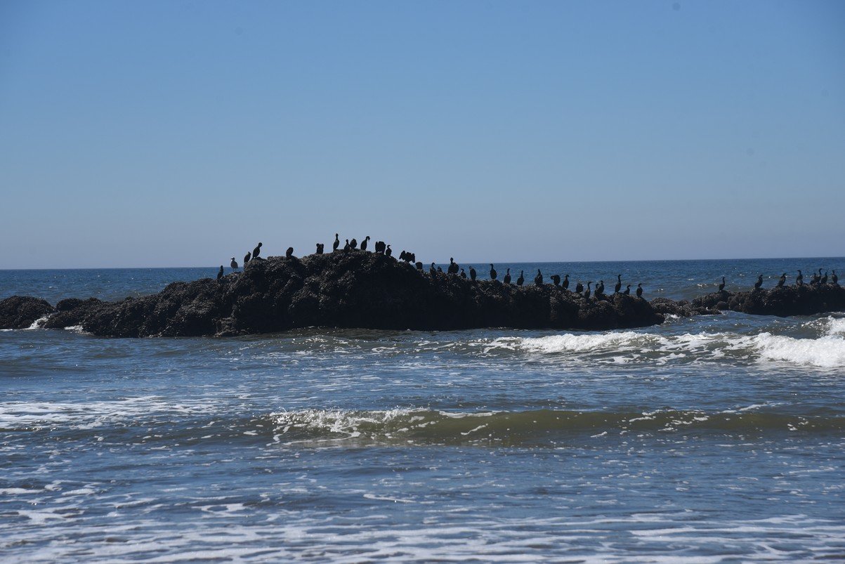 dsc_1409_fs.jpg