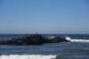 dsc_1410_fs_small.jpg