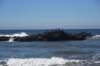 dsc_1412_fs_small.jpg