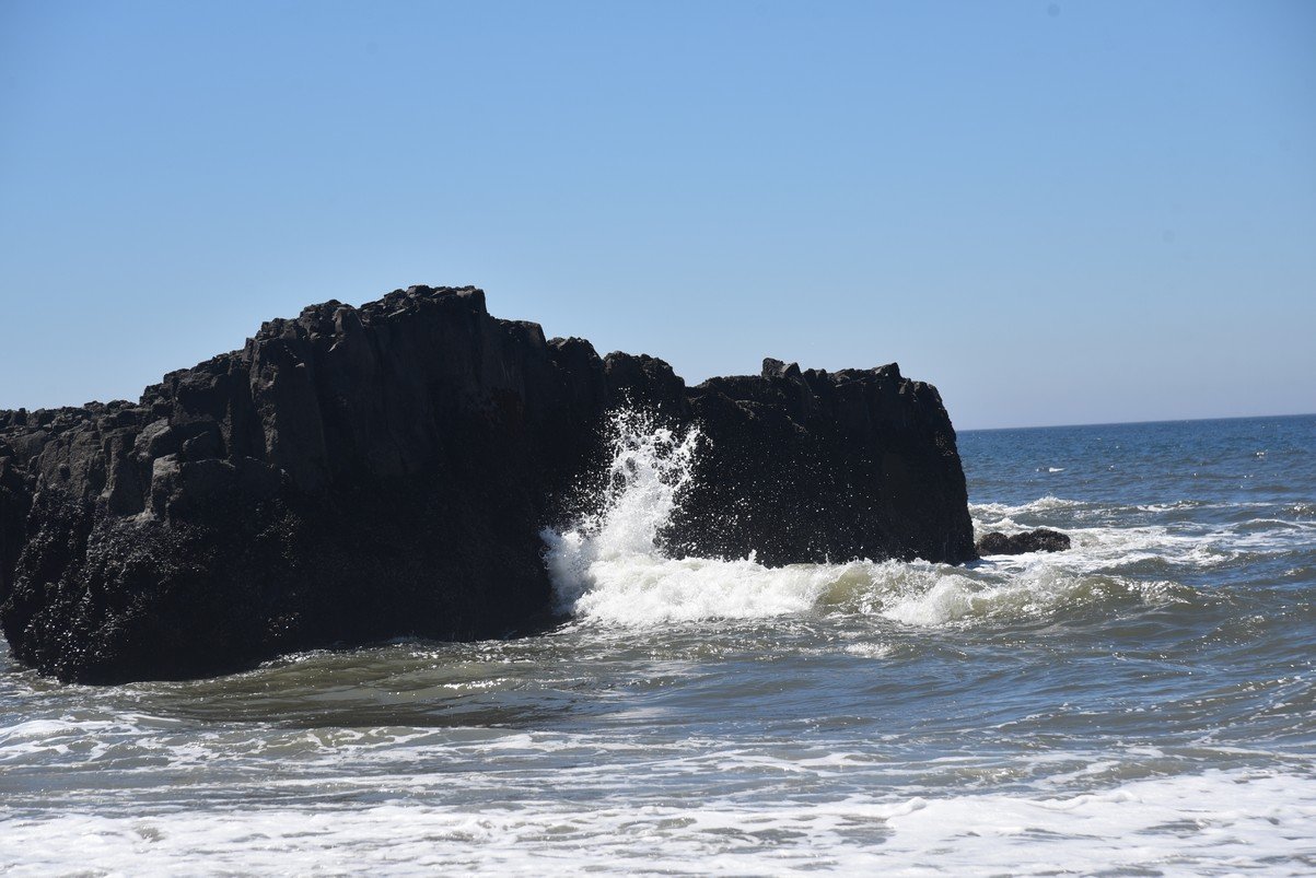 dsc_1417_fs.jpg