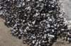 dsc_1420_fs_small.jpg