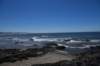 dsc_1424_fs_small.jpg