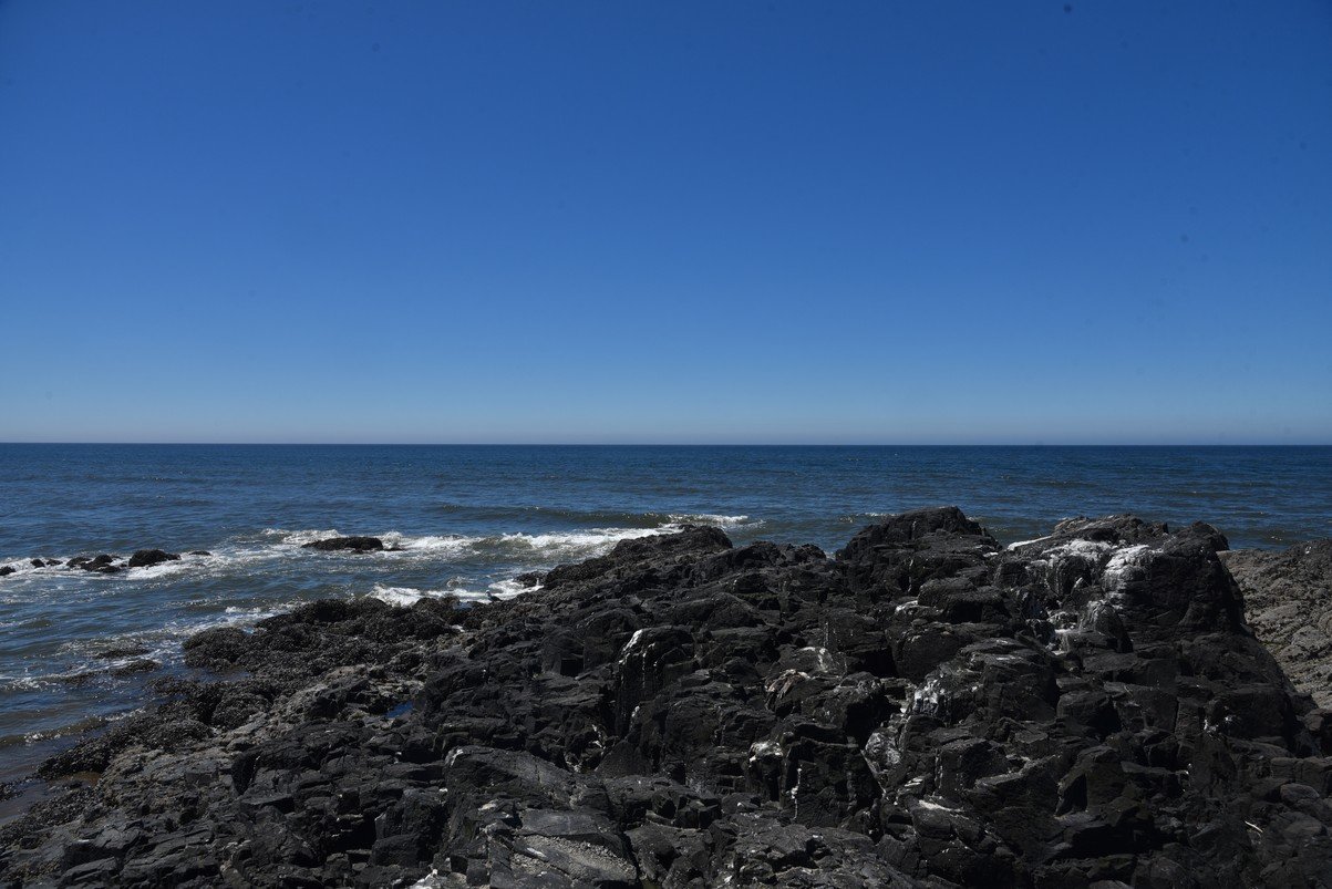 dsc_1427_fs.jpg