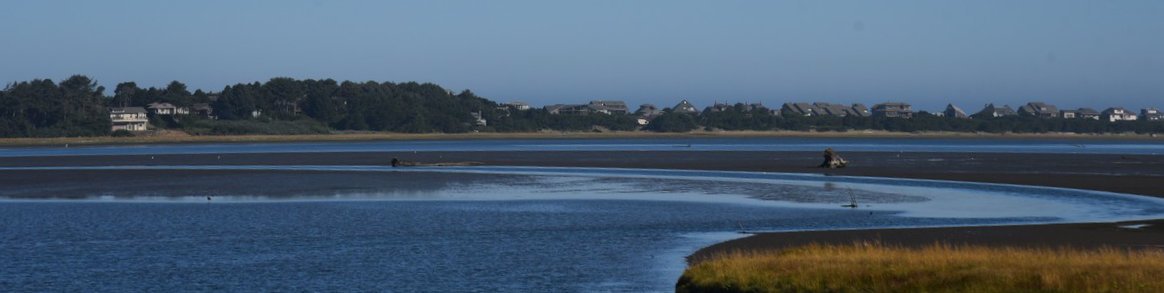 dsc_1446_fs.jpg
