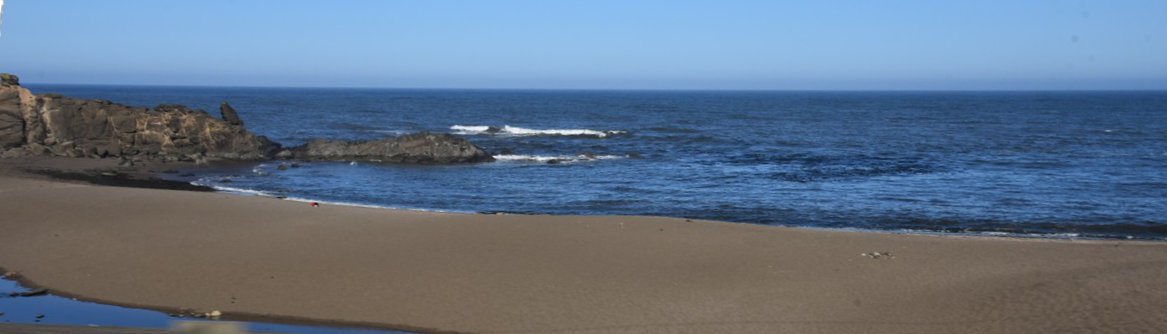 dsc_1451_fs.jpg