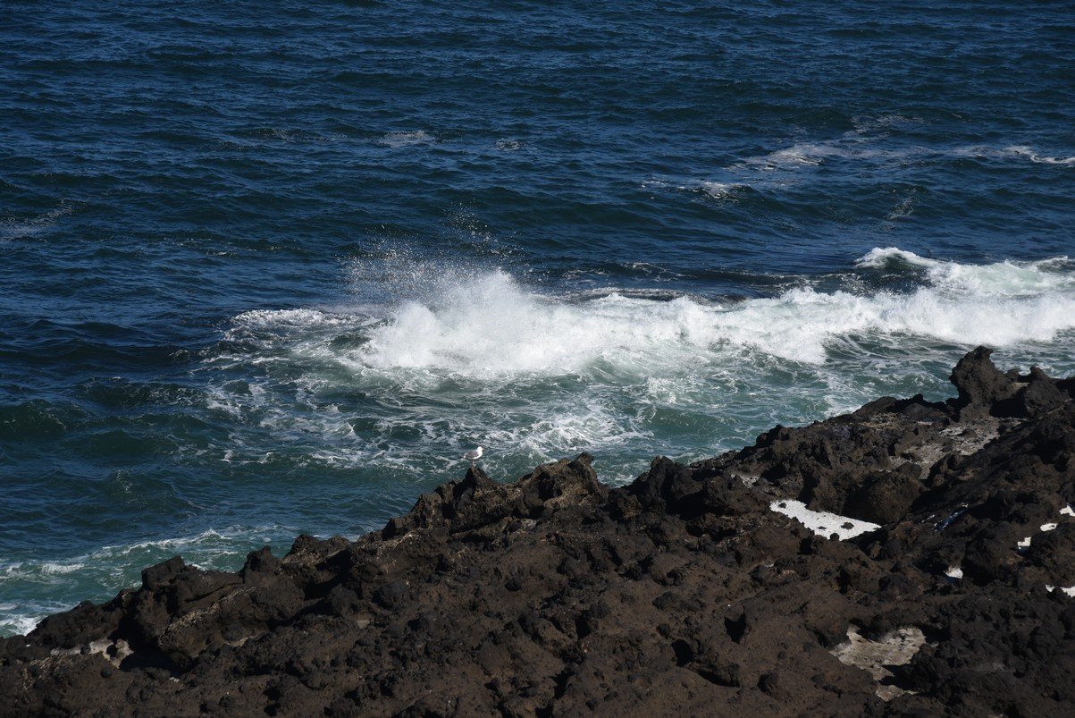 dsc_1476_fs.jpg
