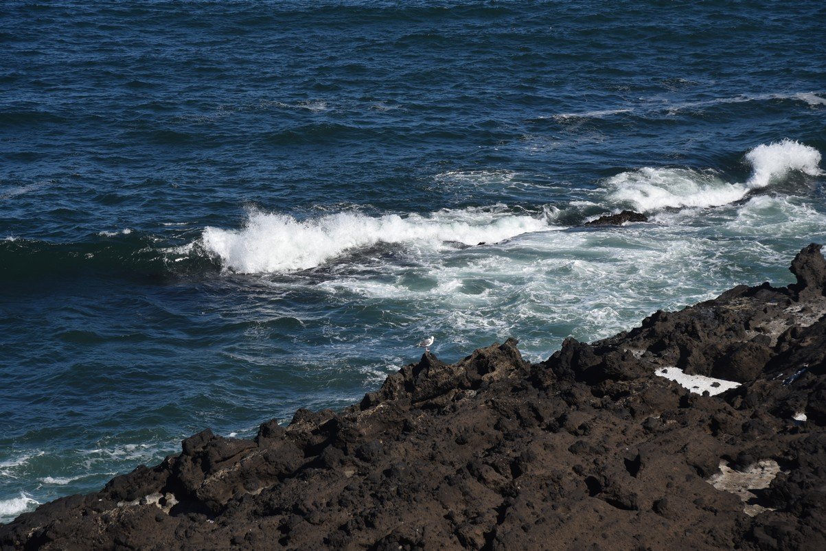 dsc_1477_fs.jpg
