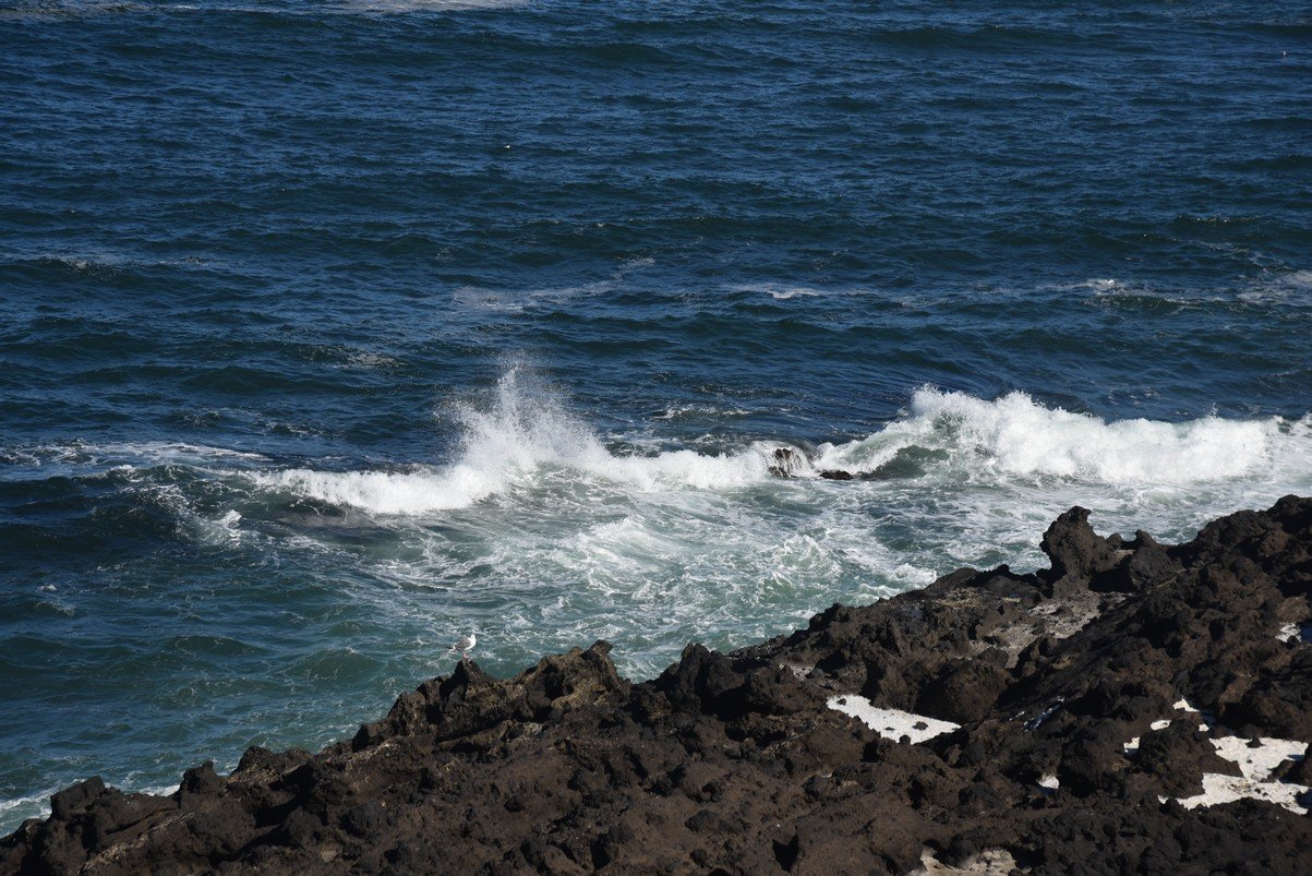dsc_1479_fs.jpg