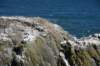 dsc_1553_fs_small.jpg