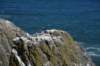 dsc_1554_fs_small.jpg