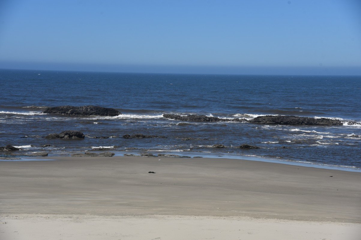 dsc_1600_fs.jpg