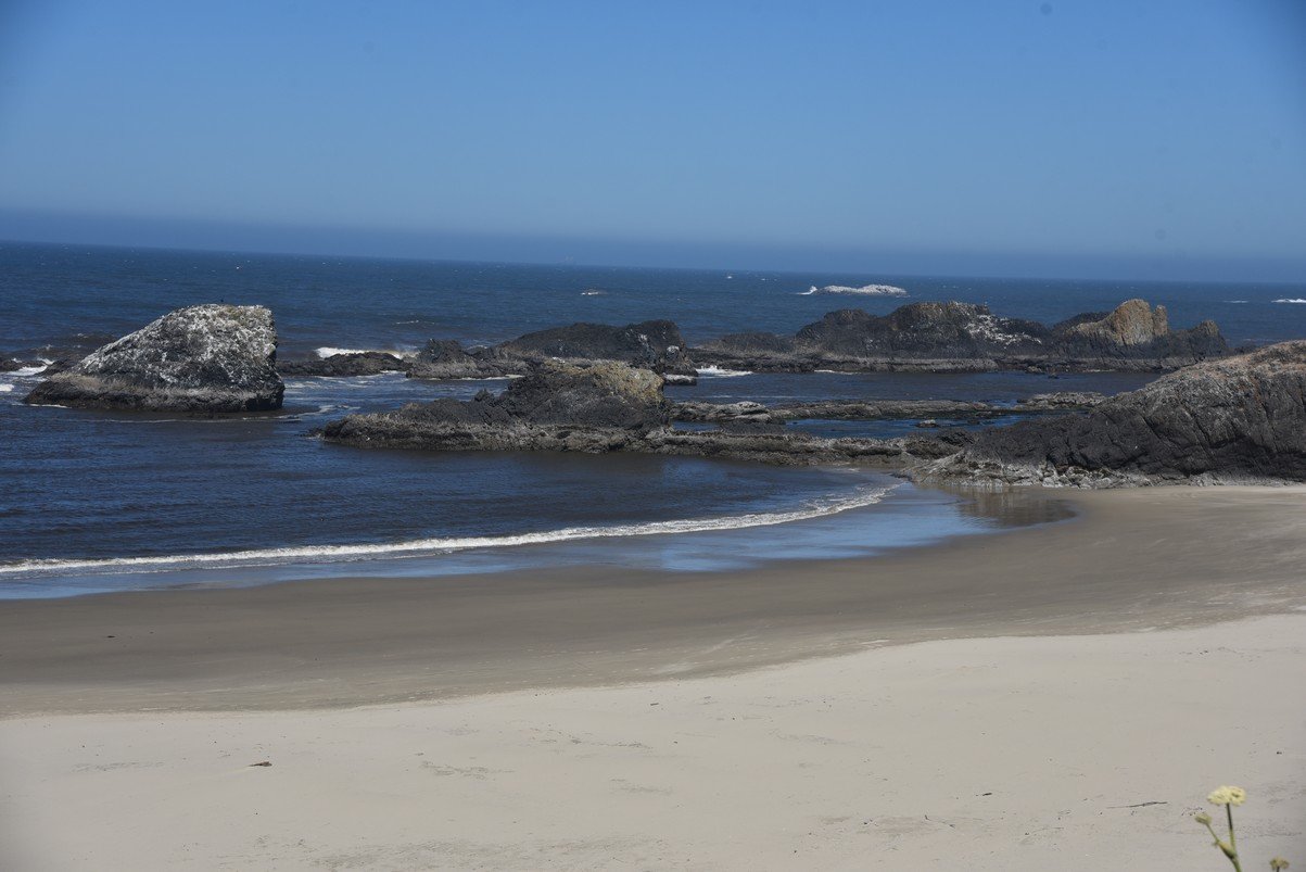 dsc_1604_fs.jpg