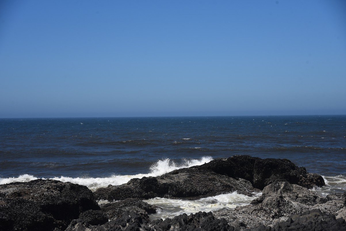 dsc_1675_fs.jpg