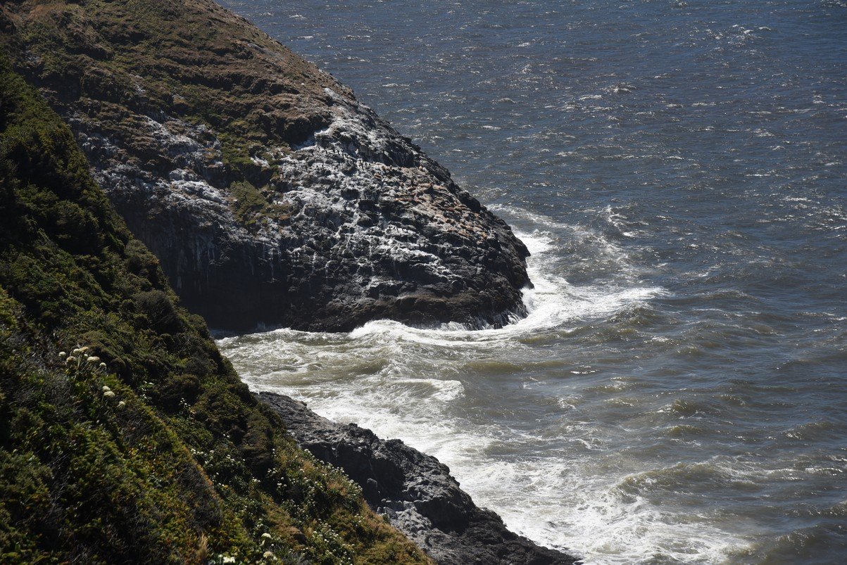 dsc_1725_fs.jpg