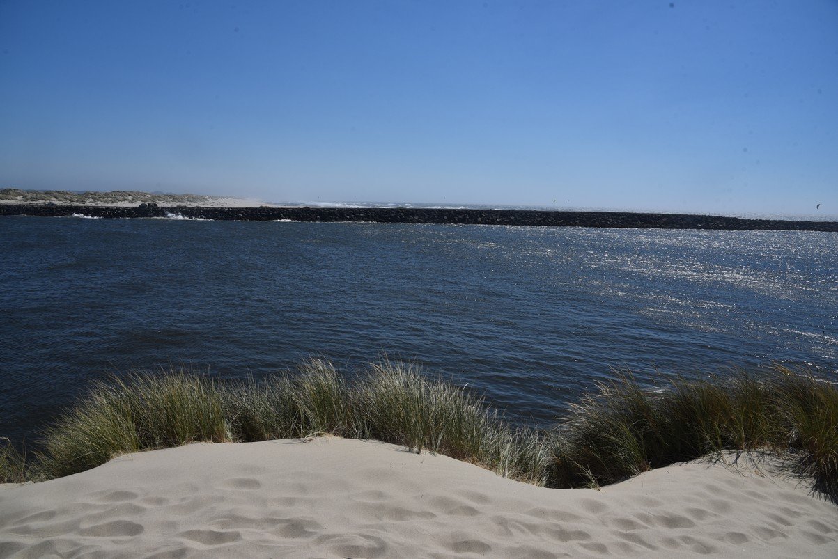 dsc_1756_fs.jpg