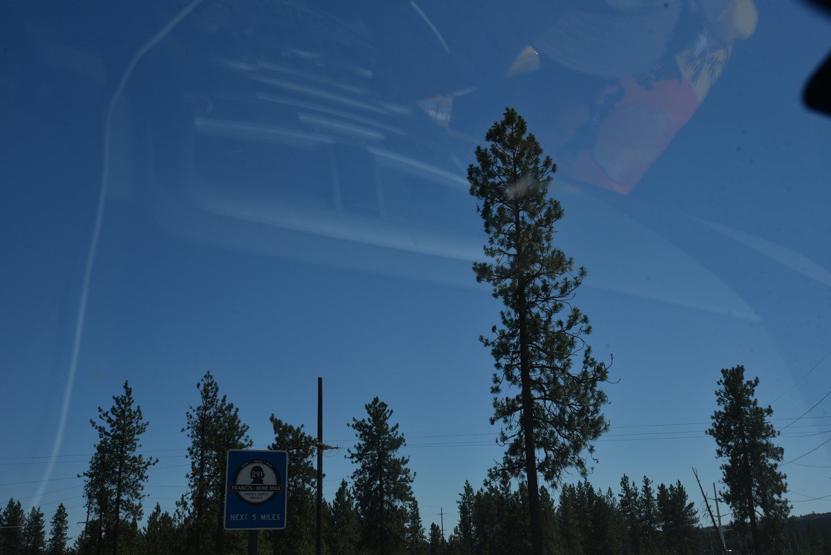 dsc_6385_fs.jpg
