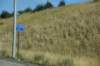 dsc_6592_fs_small.jpg