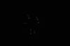 dsc_6619_fs_small.jpg