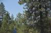 dsc_6638_fs_small.jpg