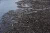 dsc_6684_fs_small.jpg