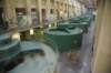 dsc_6710_fs_small.jpg