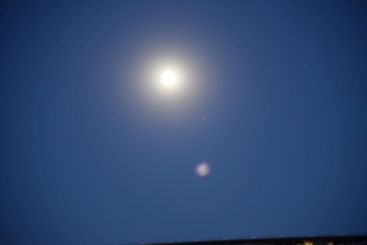 dsc_6811_fs.jpg