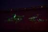 dsc_6871_fs_small.jpg