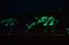 dsc_6873_fs_small.jpg