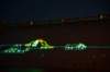 dsc_6880_fs_small.jpg