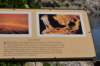 dsc_6954_fs_small.jpg