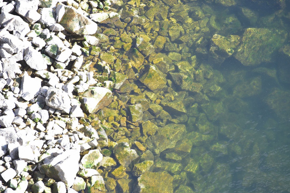 dsc_6962_fs.jpg