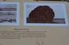 dsc_6968_fs_small.jpg