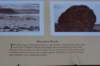 dsc_6970_fs_small.jpg